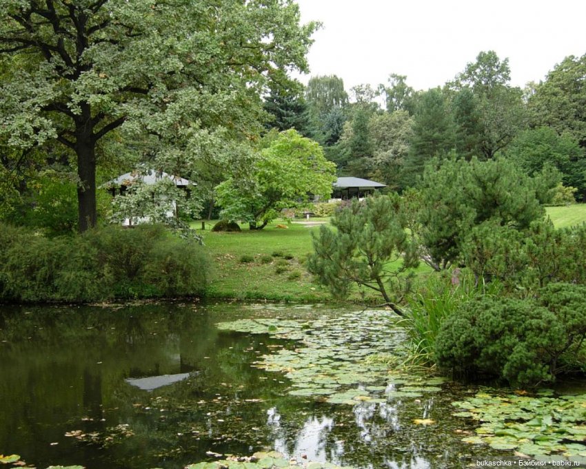 В Японском саду — Куклы Baboliy (Баболи