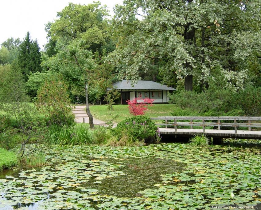 В Японском саду — Куклы Baboliy (Баболи (фото 9)