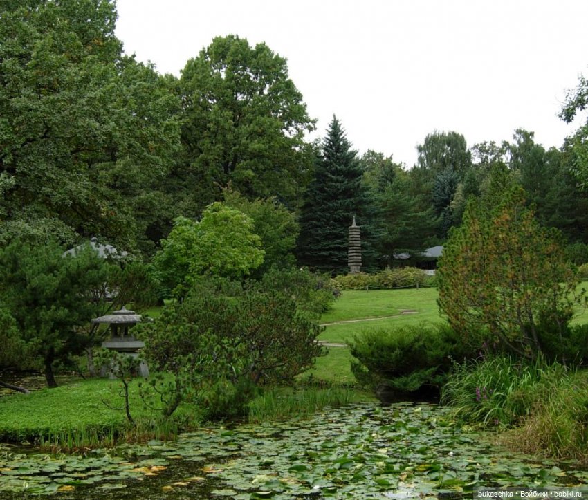 В Японском саду — Куклы Baboliy (Баболи