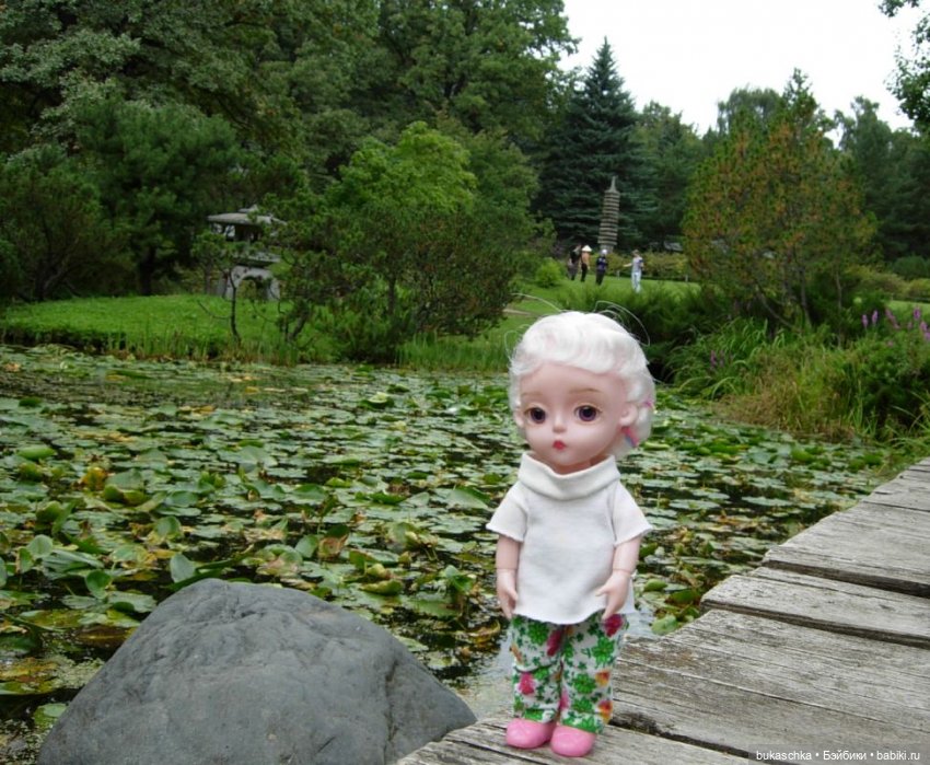 В Японском саду — Куклы Baboliy (Баболи