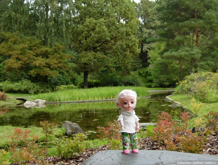 В Японском саду — Куклы Baboliy (Баболи