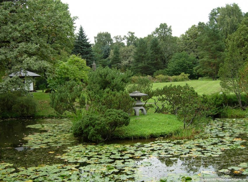 В Японском саду — Куклы Baboliy (Баболи