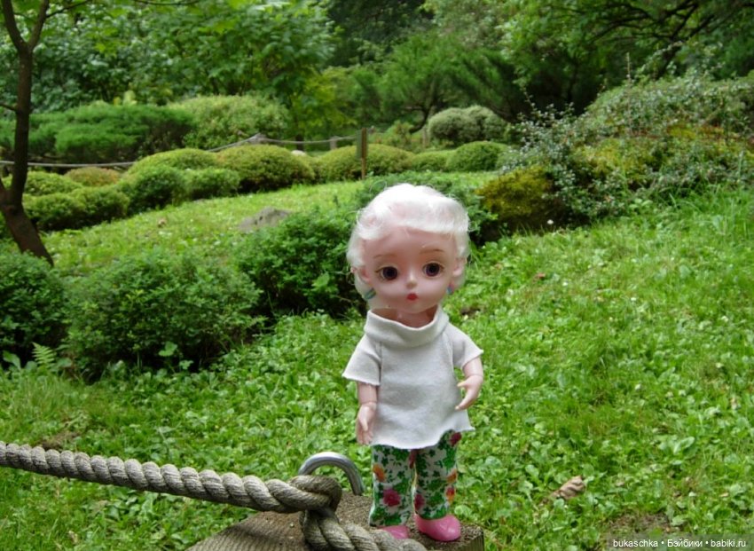 В Японском саду — Куклы Baboliy (Баболи