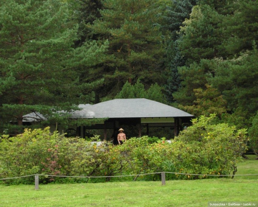 В Японском саду — Куклы Baboliy (Баболи