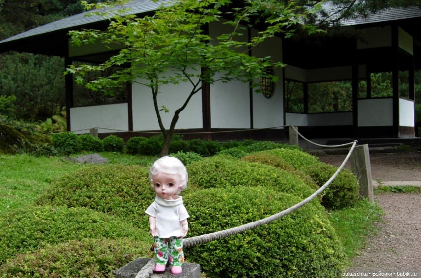 В Японском саду — Куклы Baboliy (Баболи