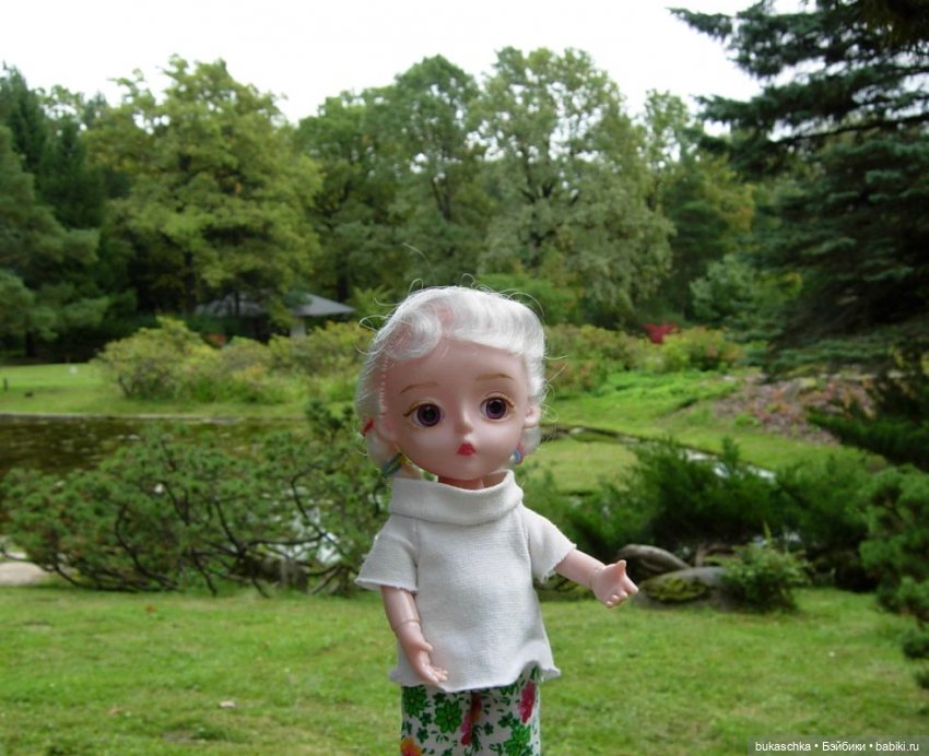 В Японском саду — Куклы Baboliy (Баболи