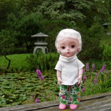 В Японском саду