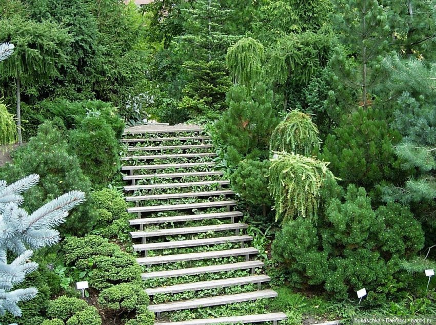 В ботаническом саду — Куклы Baboliy (Баболи (фото 4)