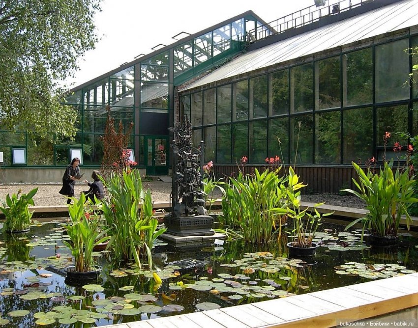 В ботаническом саду — Куклы Baboliy (Баболи