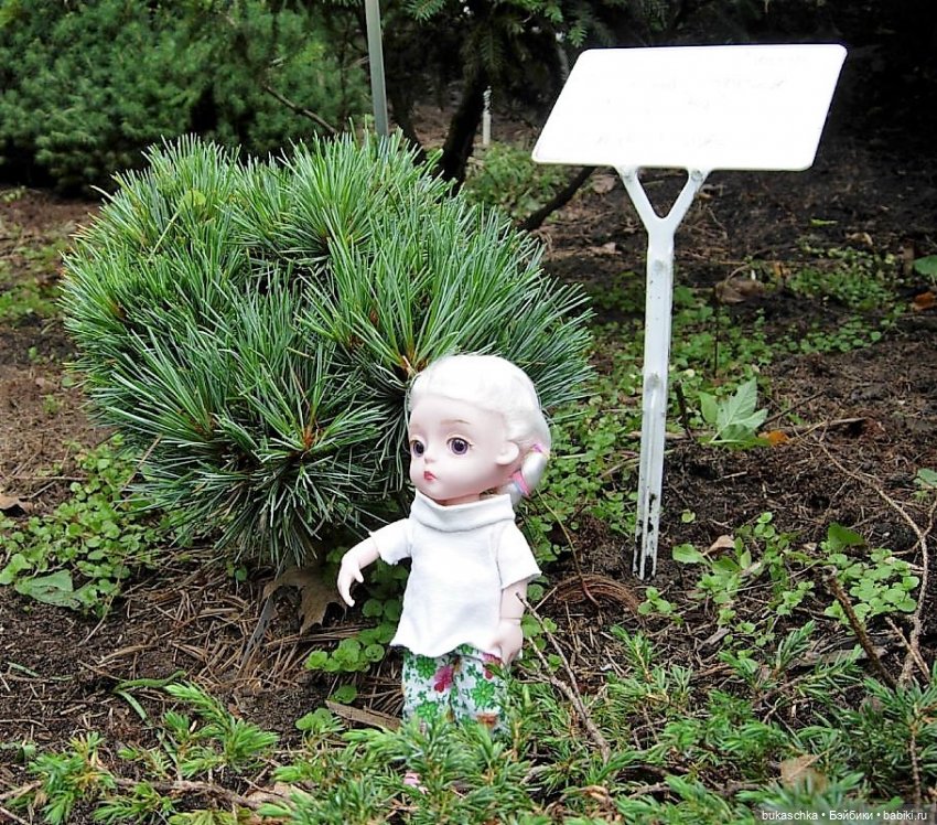 В ботаническом саду — Куклы Baboliy (Баболи (фото 5)