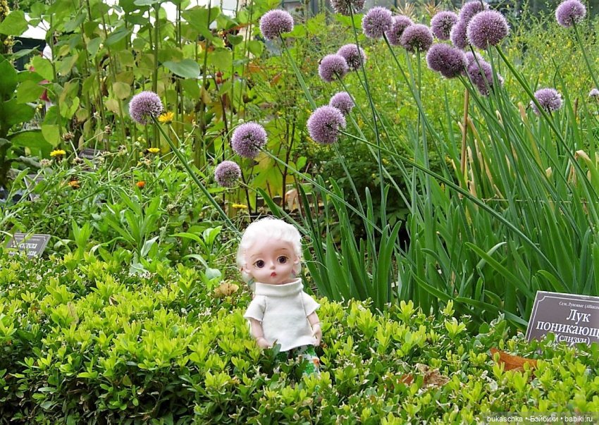 В ботаническом саду — Куклы Baboliy (Баболи