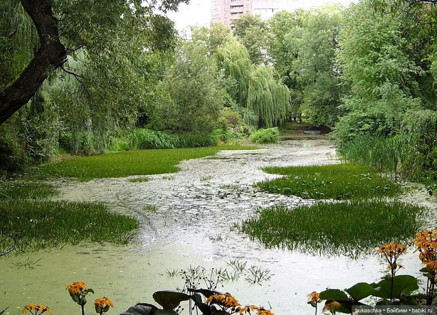 В ботаническом саду — Куклы Baboliy (Баболи (фото 2)
