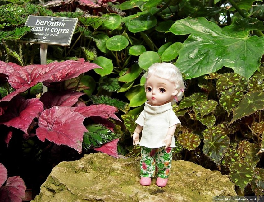 В ботаническом саду — Куклы Baboliy (Баболи