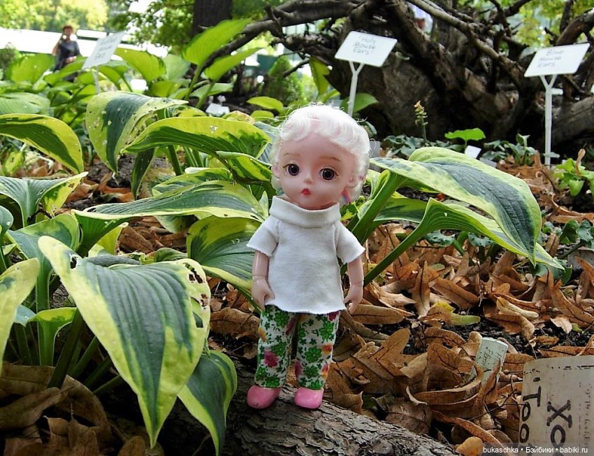 В ботаническом саду — Куклы Baboliy (Баболи