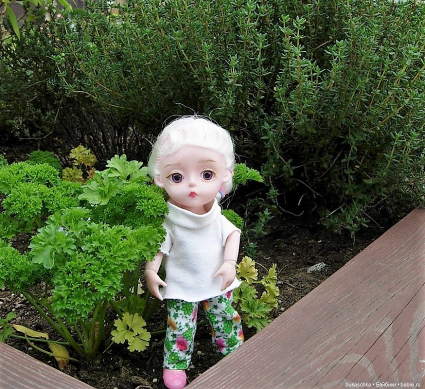 В ботаническом саду — Куклы Baboliy (Баболи (фото 10)
