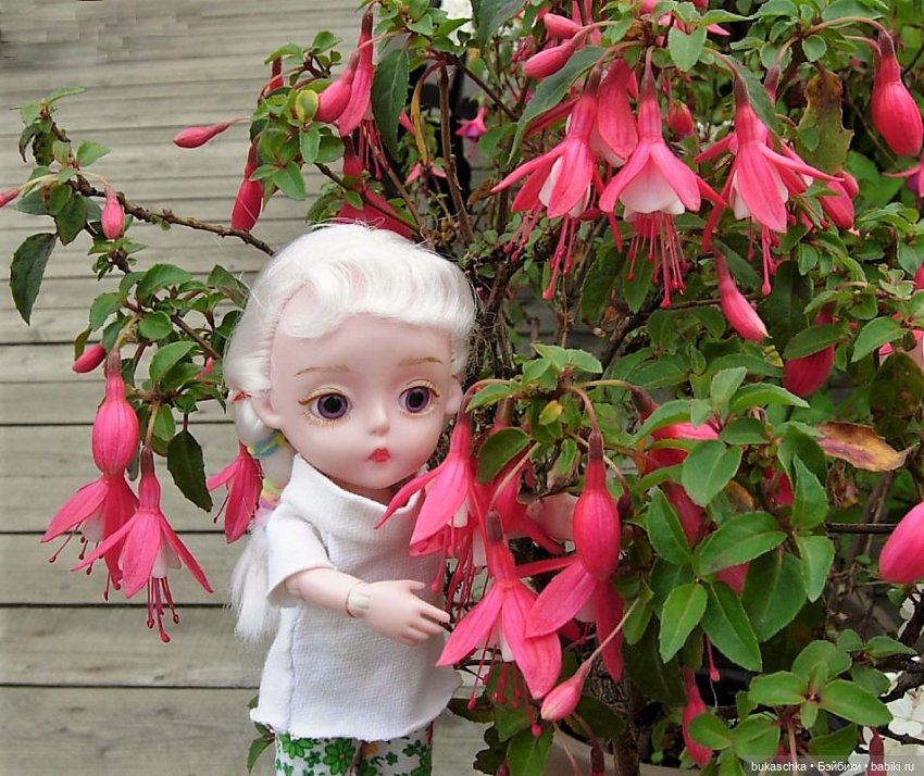 В ботаническом саду — Куклы Baboliy (Баболи