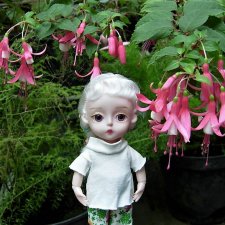 В ботаническом саду