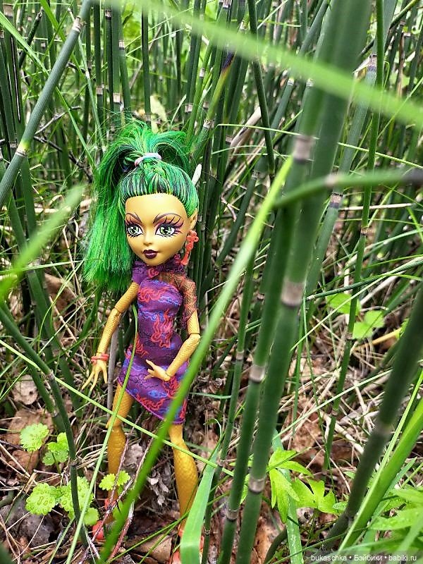 В весеннем лесу — Куклы Monster High и Ever After High: G1 (фото 9)