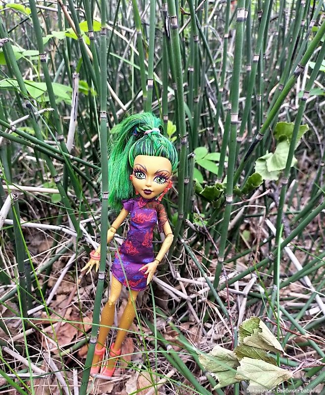 В весеннем лесу — Куклы Monster High и Ever After High: G1 (фото 4)