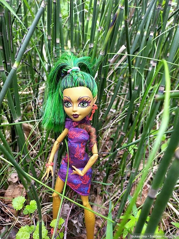 В весеннем лесу — Куклы Monster High и Ever After High: G1 (фото 7)