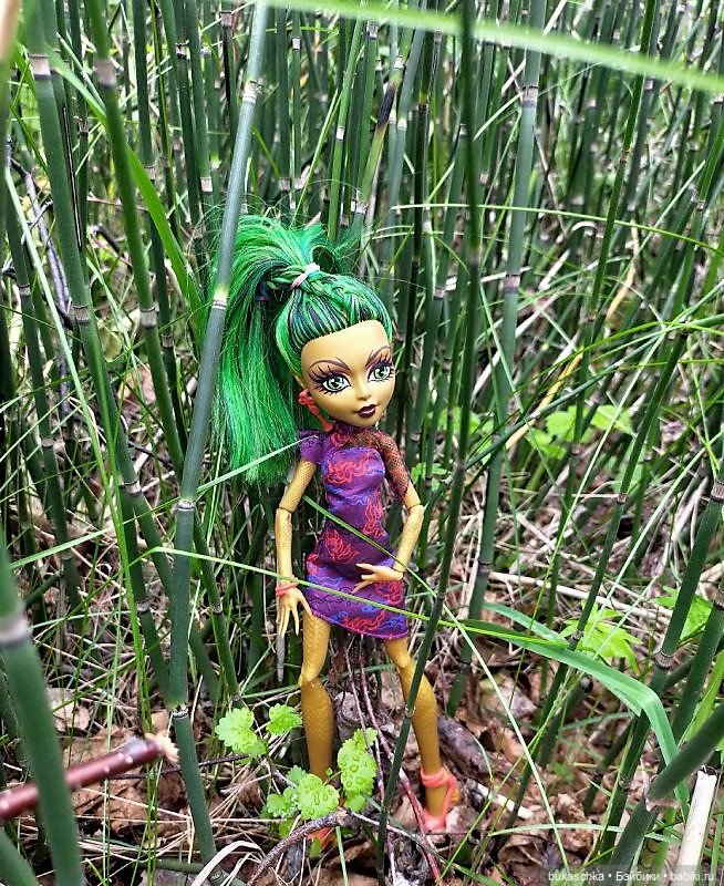 В весеннем лесу — Куклы Monster High и Ever After High: G1 (фото 6)