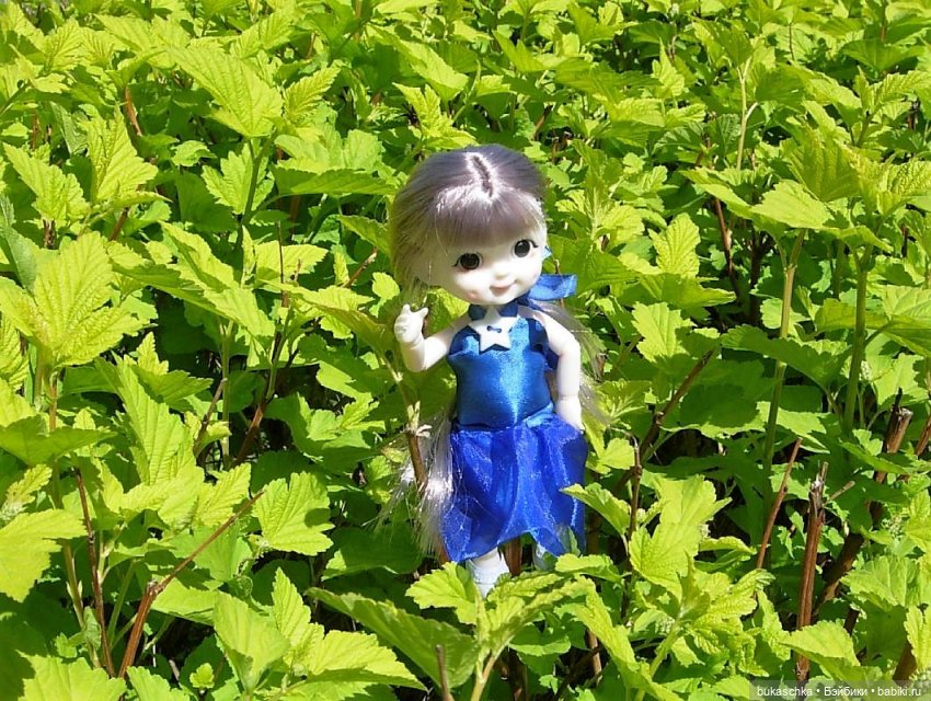 Ириска и ирисы — Куклы Baboliy (Баболи