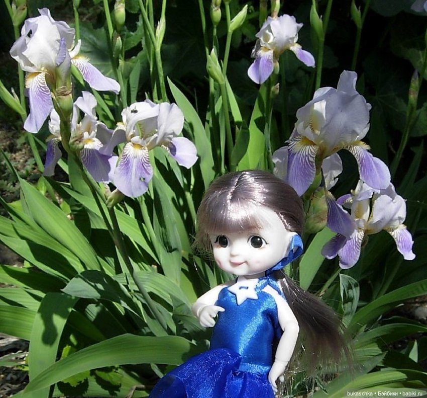 Ириска и ирисы — Куклы Baboliy (Баболи (фото 10)