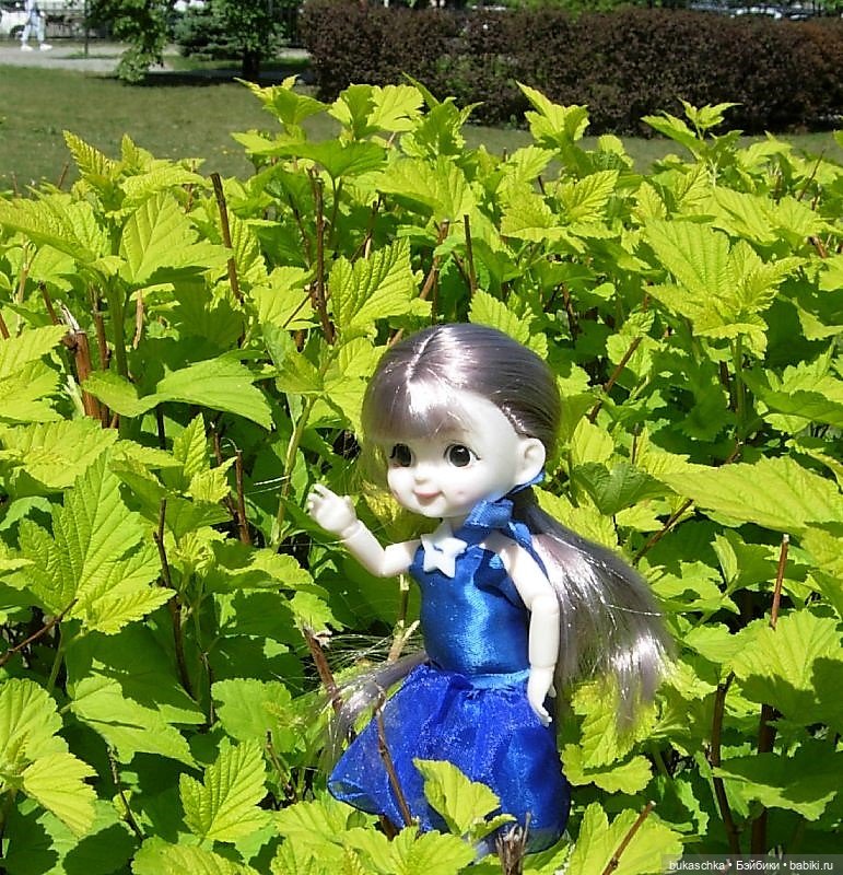 Ириска и ирисы — Куклы Baboliy (Баболи (фото 5)