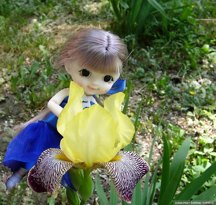 Ириска и ирисы — Куклы Baboliy (Баболи