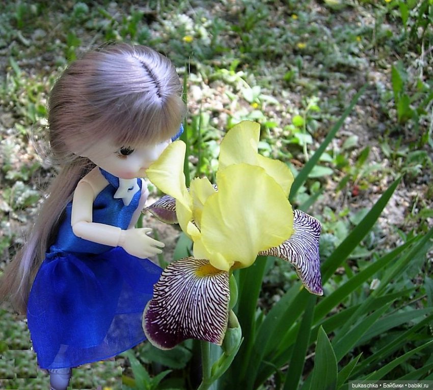 Ириска и ирисы — Куклы Baboliy (Баболи
