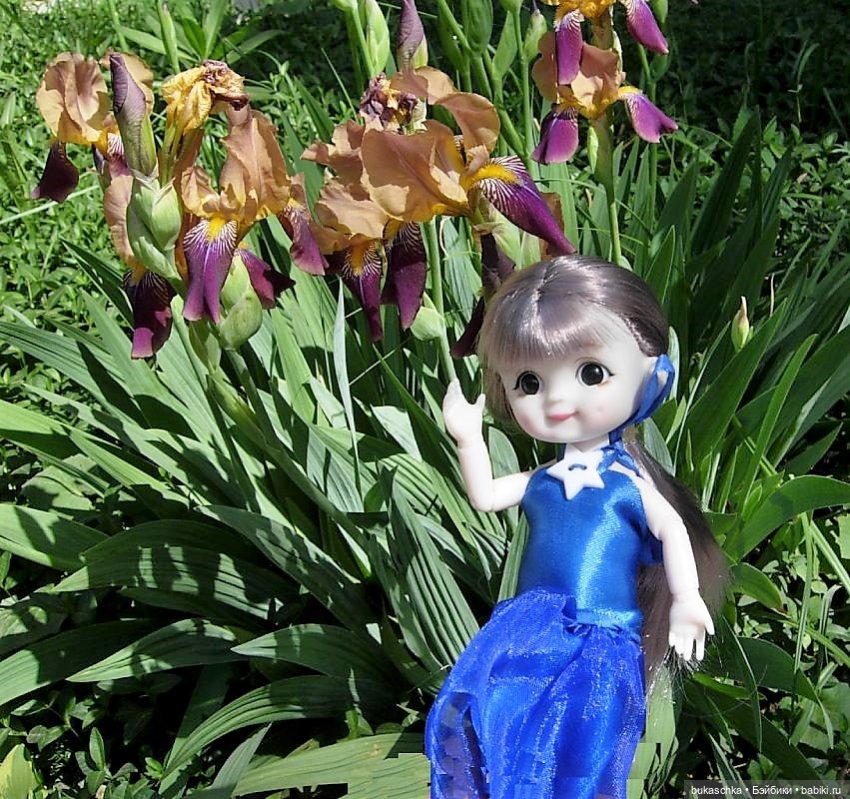 Ириска и ирисы — Куклы Baboliy (Баболи (фото 7)