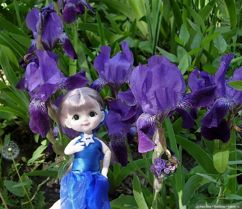 Ириска и ирисы — Куклы Baboliy (Баболи (фото 2)