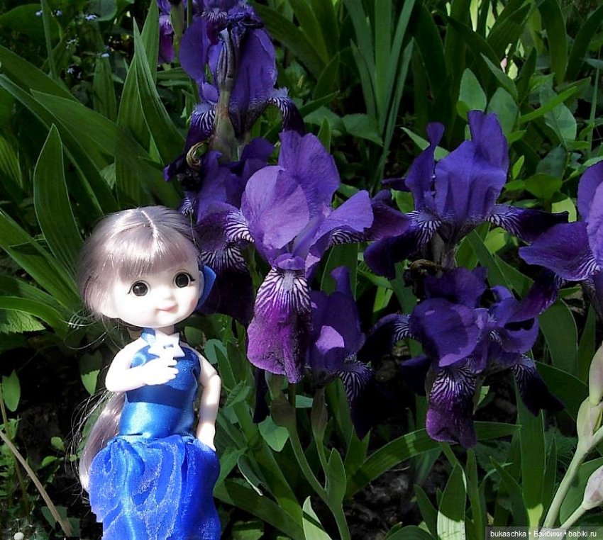 Ириска и ирисы — Куклы Baboliy (Баболи (фото 3)