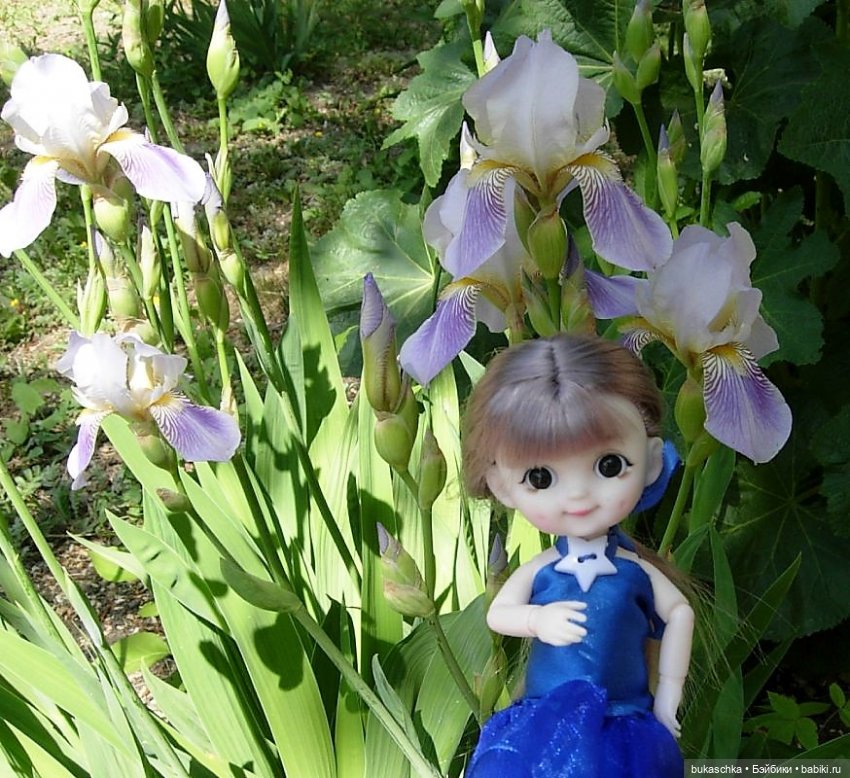 Ириска и ирисы — Куклы Baboliy (Баболи (фото 9)