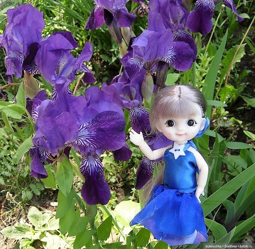 Ириска и ирисы — Куклы Baboliy (Баболи (фото 4)