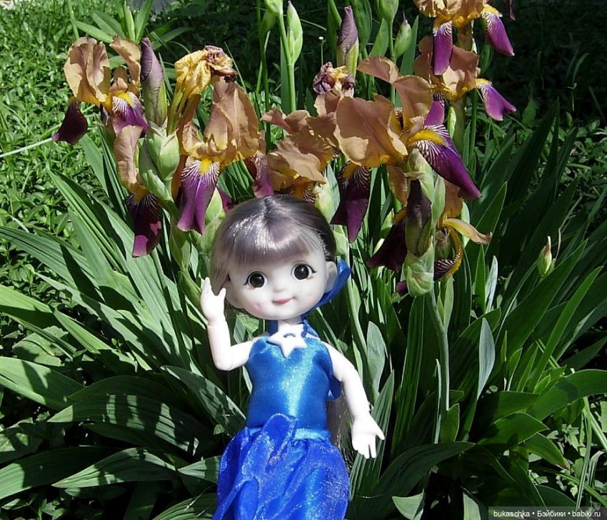 Ириска и ирисы — Куклы Baboliy (Баболи (фото 6)