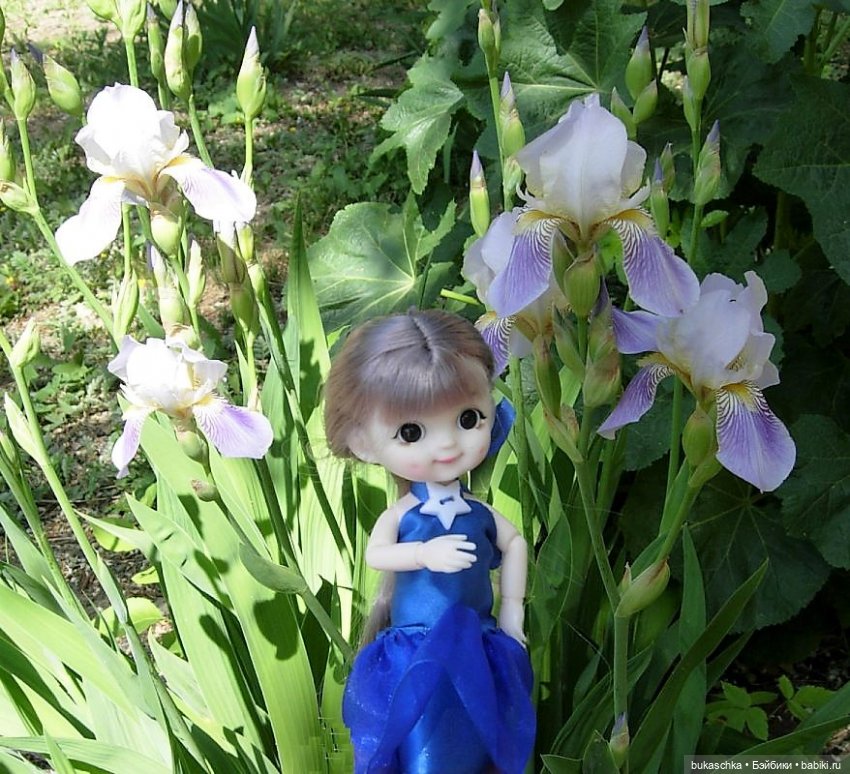 Ириска и ирисы — Куклы Baboliy (Баболи (фото 8)