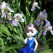 Ириска и ирисы