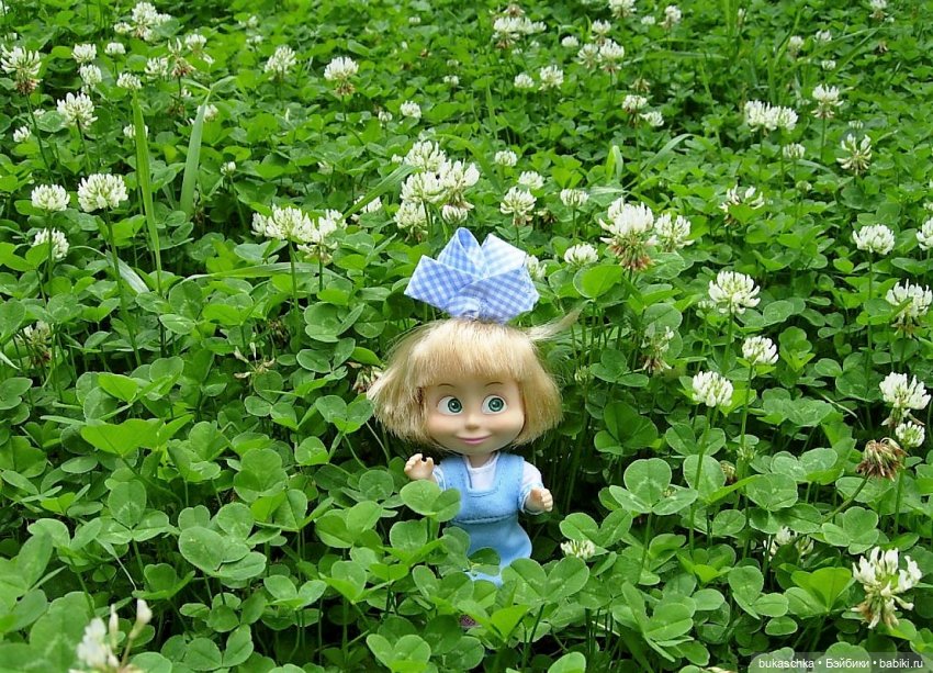 Машка и кашка — Куклы Маша и Медведь (Simba): Маша в кармашке (фото 2)