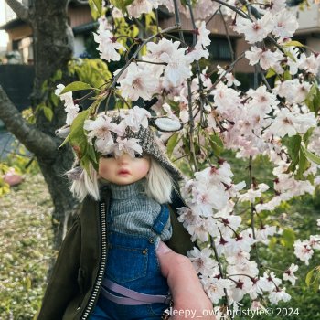 Время опадания