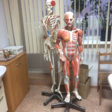 Куклы в медицине