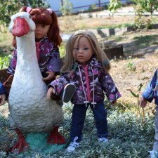 Мы съездили на дачу