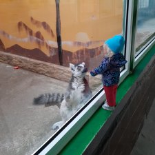 Яся в детском зоопарке