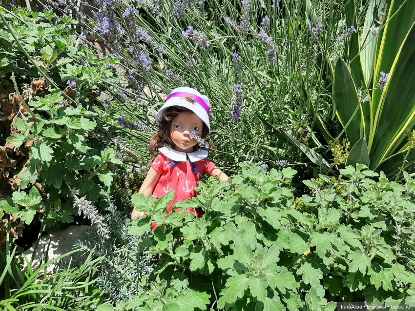 Лизхен на море — Игровые куклы Zwergnase (Цвергназе) Junior: Джуниор