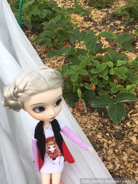 Солнце, радость, дача — Куклы Pullip (Пуллип) (фото 9)