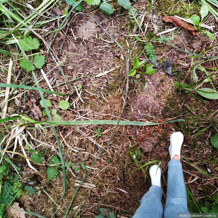 Вещий сон — Куклы Barbie (Барби): Looks (фото 10)