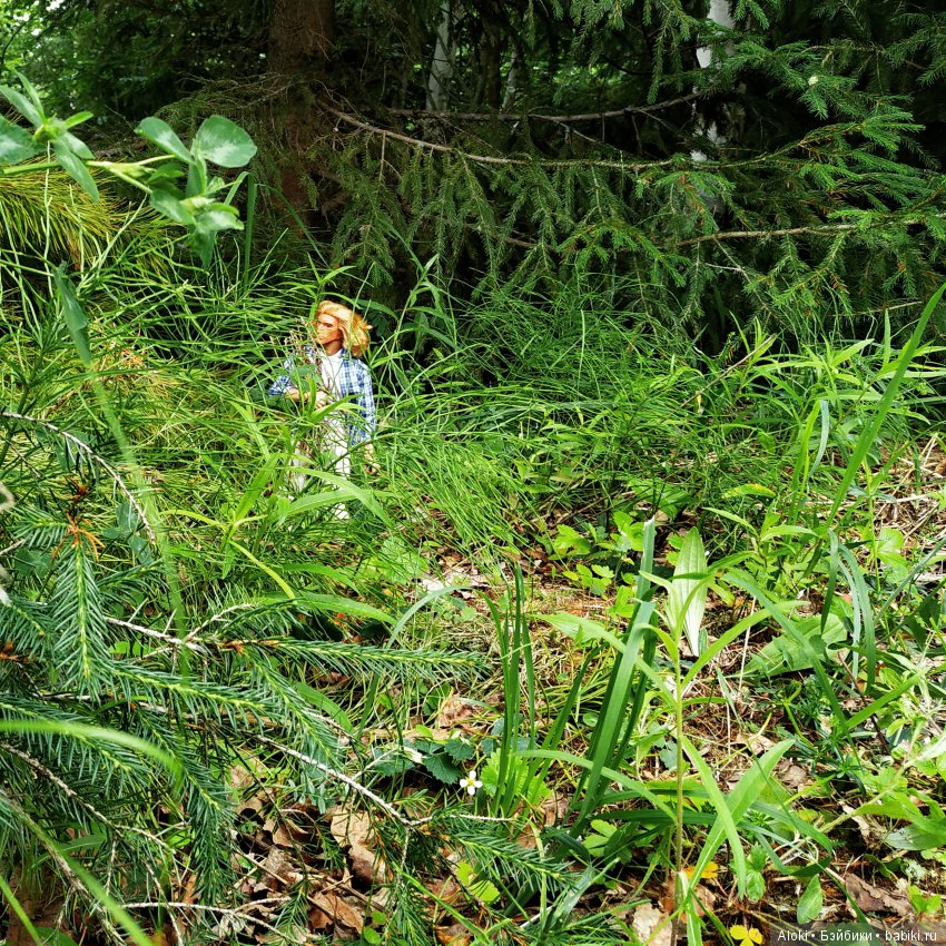 Вещий сон — Куклы Barbie (Барби): Looks