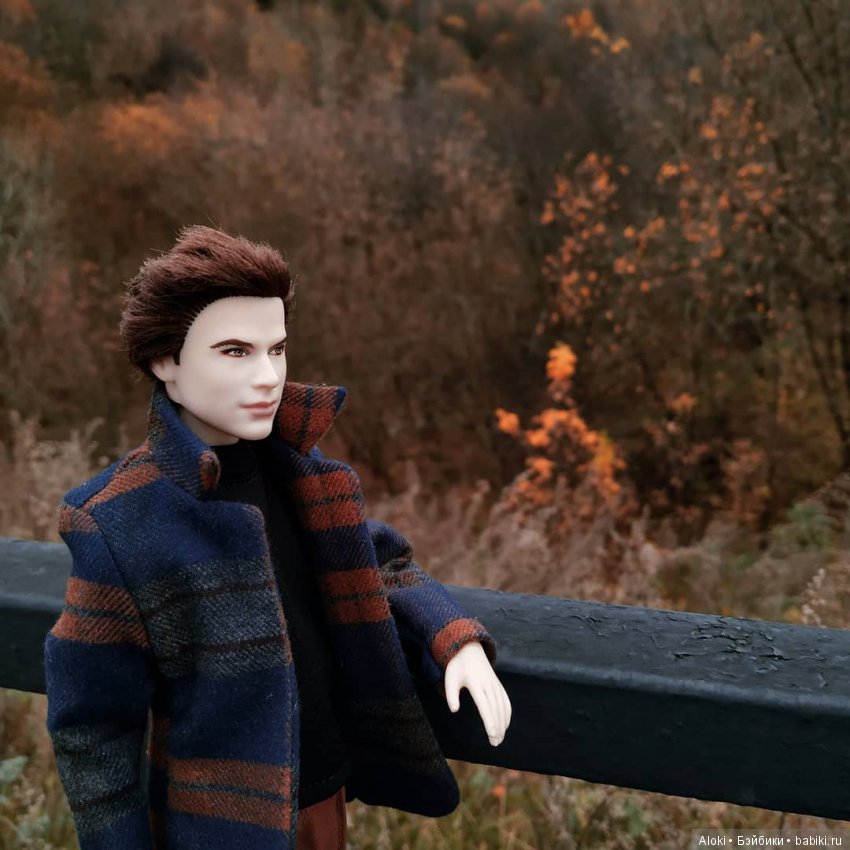 Сбылось — Куклы Barbie (Барби): Looks (фото 3)