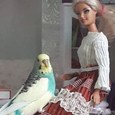 Незваная гостья