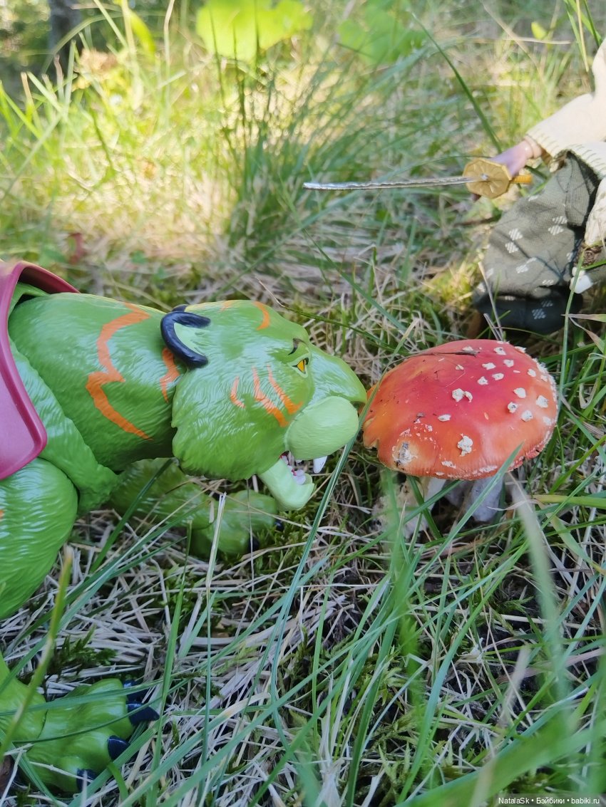 Пришельцы против грибов или тихая охота (фото 3)